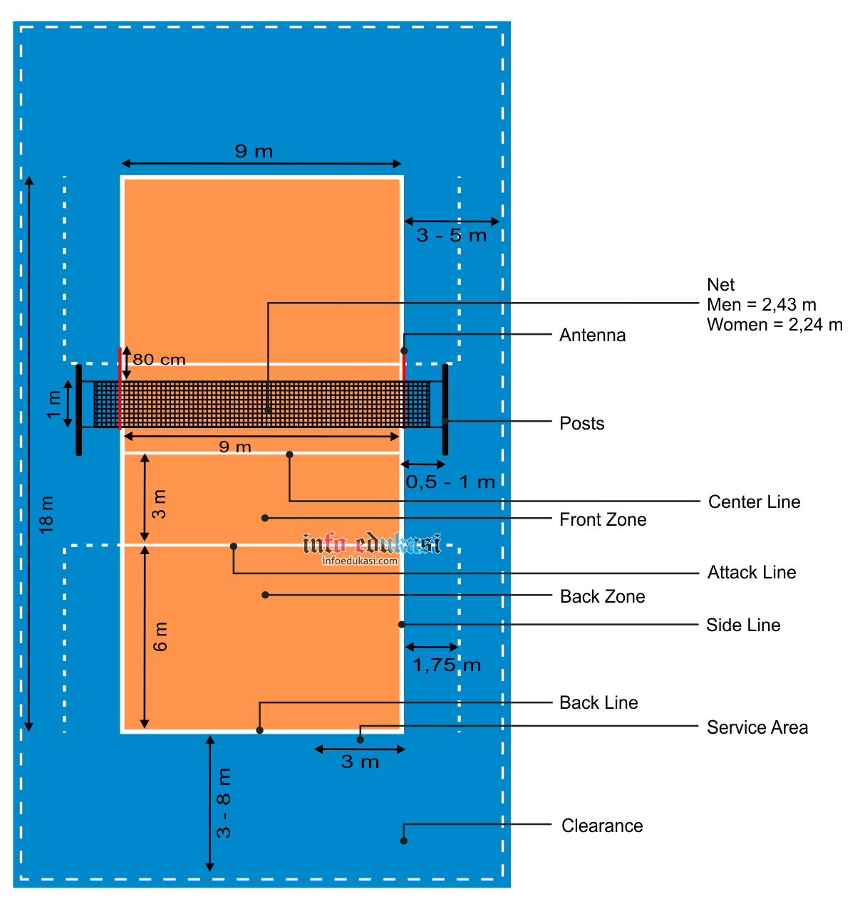 Detail Gambar Lapangan Bola Voli Dan Ukuran Nya Nomer 18