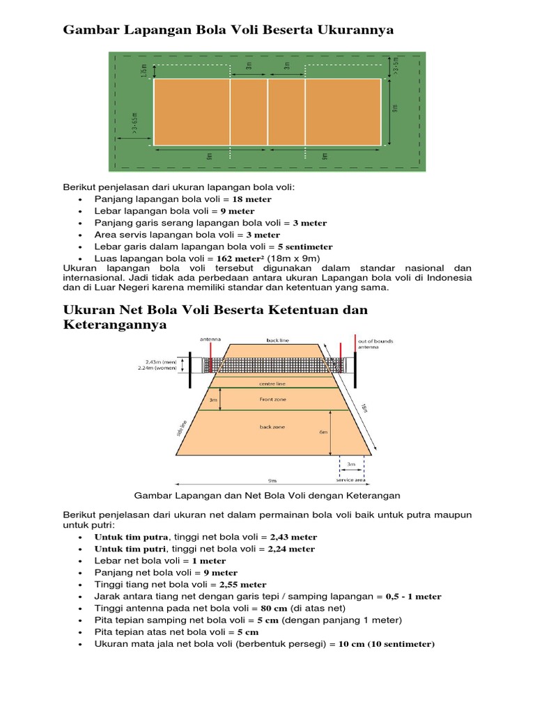 Detail Gambar Lapangan Bola Voli Dan Ukuran Nya Nomer 42