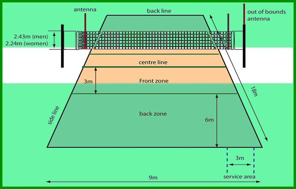 Detail Gambar Lapangan Bola Voli Yang Mudah Digambar Nomer 12