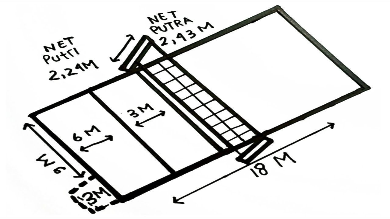 Detail Gambar Lapangan Bola Voli Yang Mudah Digambar Nomer 23