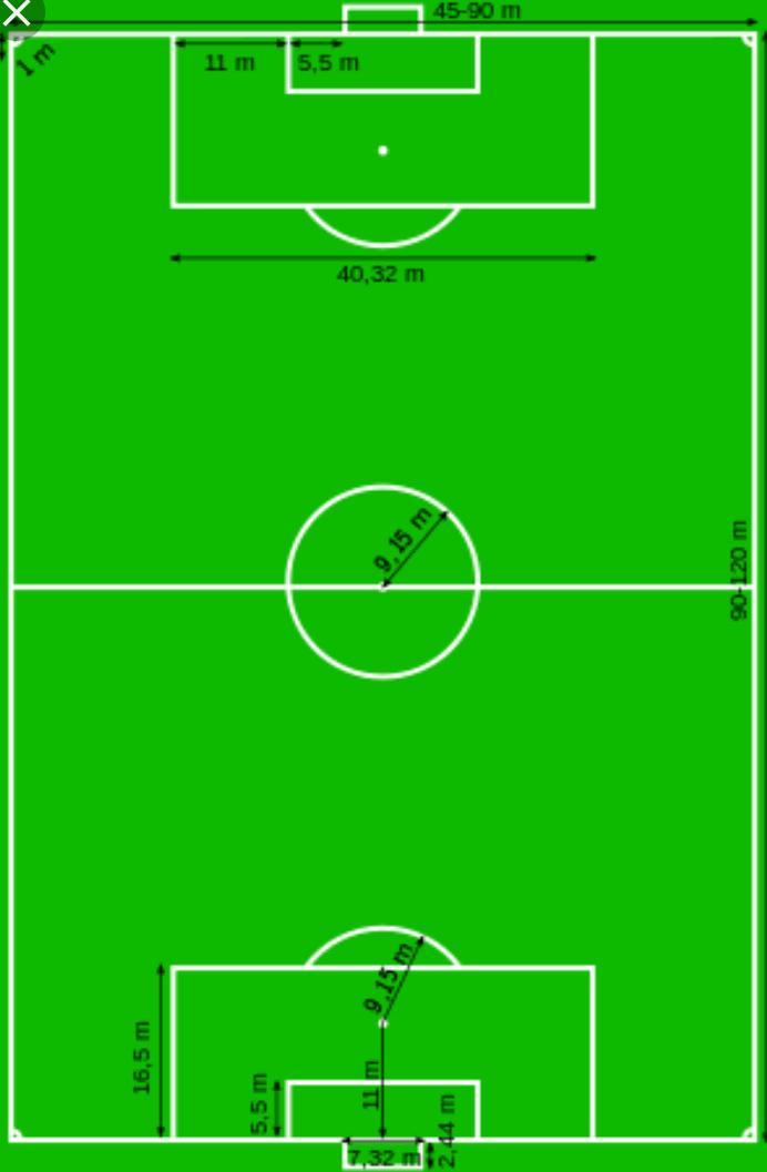Detail Gambar Lapangan Bola Voli Yang Mudah Digambar Nomer 54