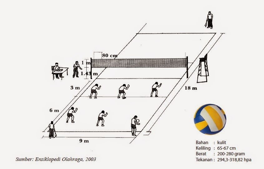 Detail Gambar Lapangan Bola Volly Beserta Ukuran Nomer 32