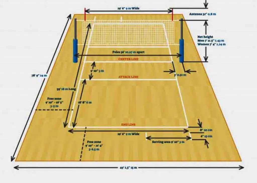 Detail Gambar Lapangan Dan Net Bola Voli Nomer 11