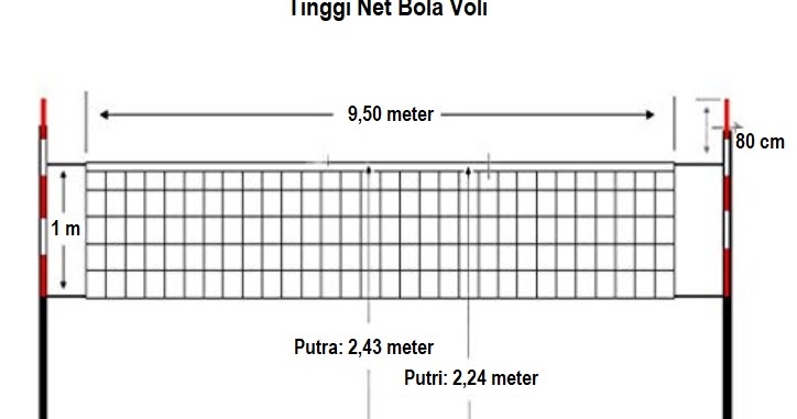 Detail Gambar Lapangan Dan Net Bola Voli Nomer 14