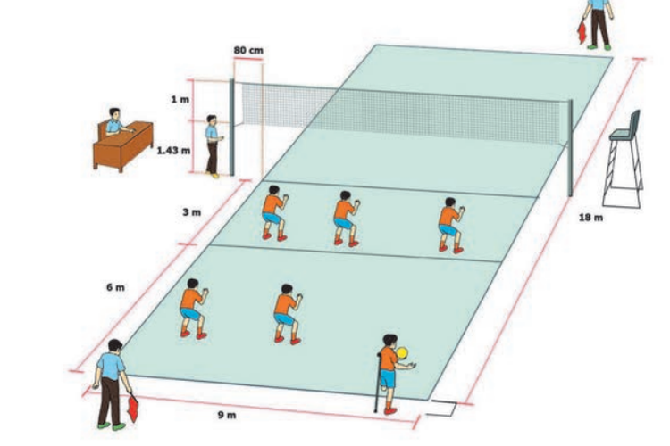 Detail Gambar Lapangan Dan Net Bola Voli Nomer 4