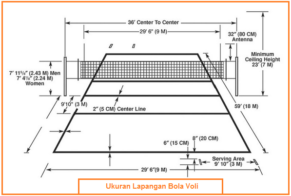Detail Gambar Lapangan Dan Net Bola Voli Nomer 8
