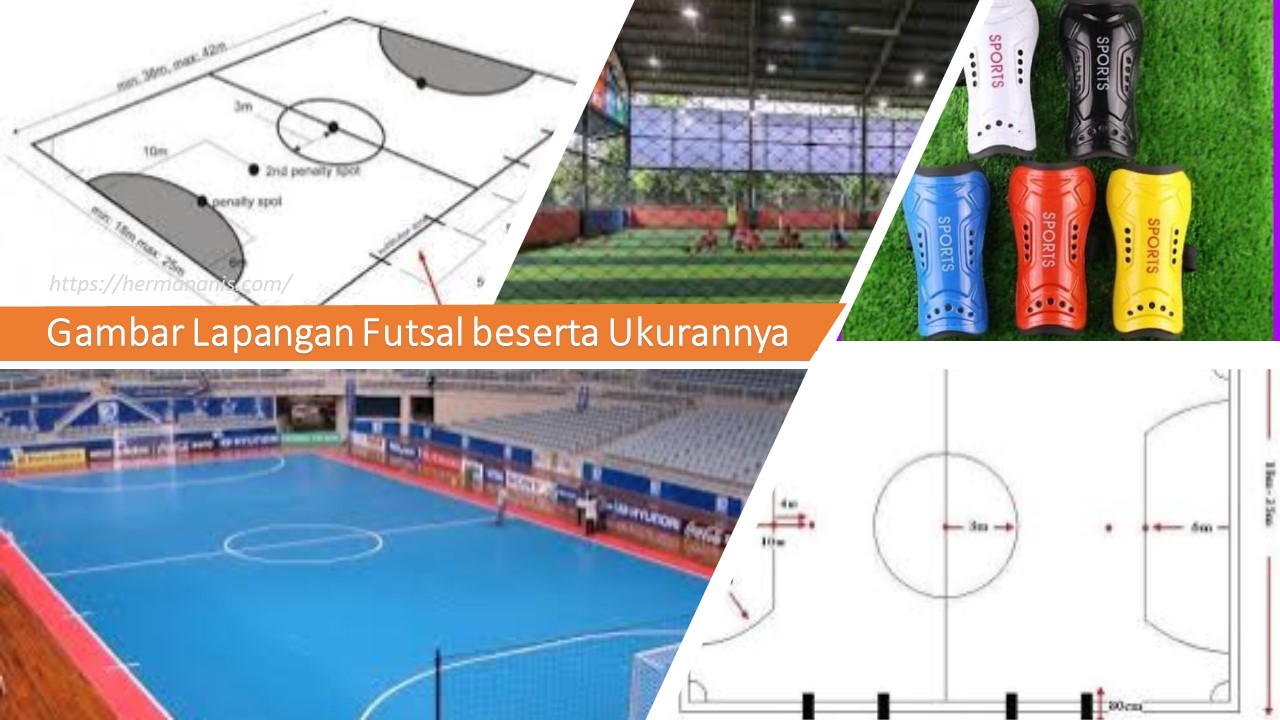 Detail Gambar Lapangan Futsal Gambar Warna Lapangan Futsal Nomer 4