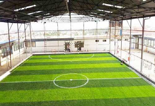 Detail Gambar Lapangan Indoor Nomer 26