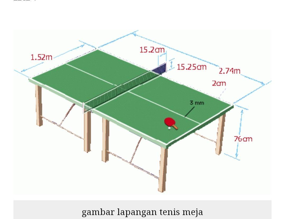 Detail Gambar Lapangan Tenis Meja Lengkap Nomer 6