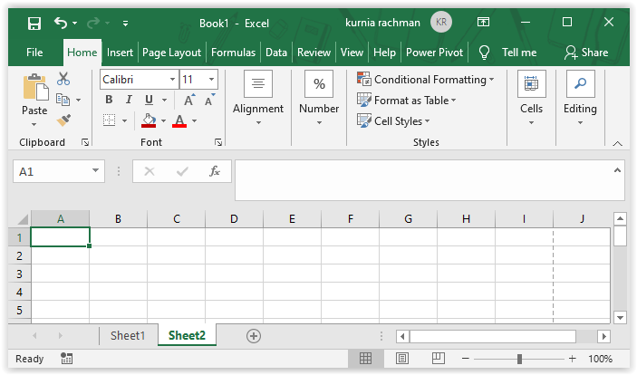 Detail Gambar Lembar Kerja Excel Beserta Fungsinya Masing Masing Nomer 5