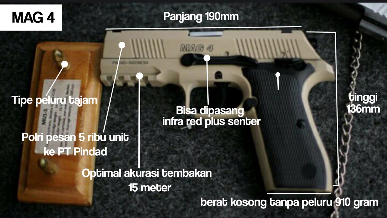 Detail Gambar Lesan Senapan Dan Pistol Nomer 5