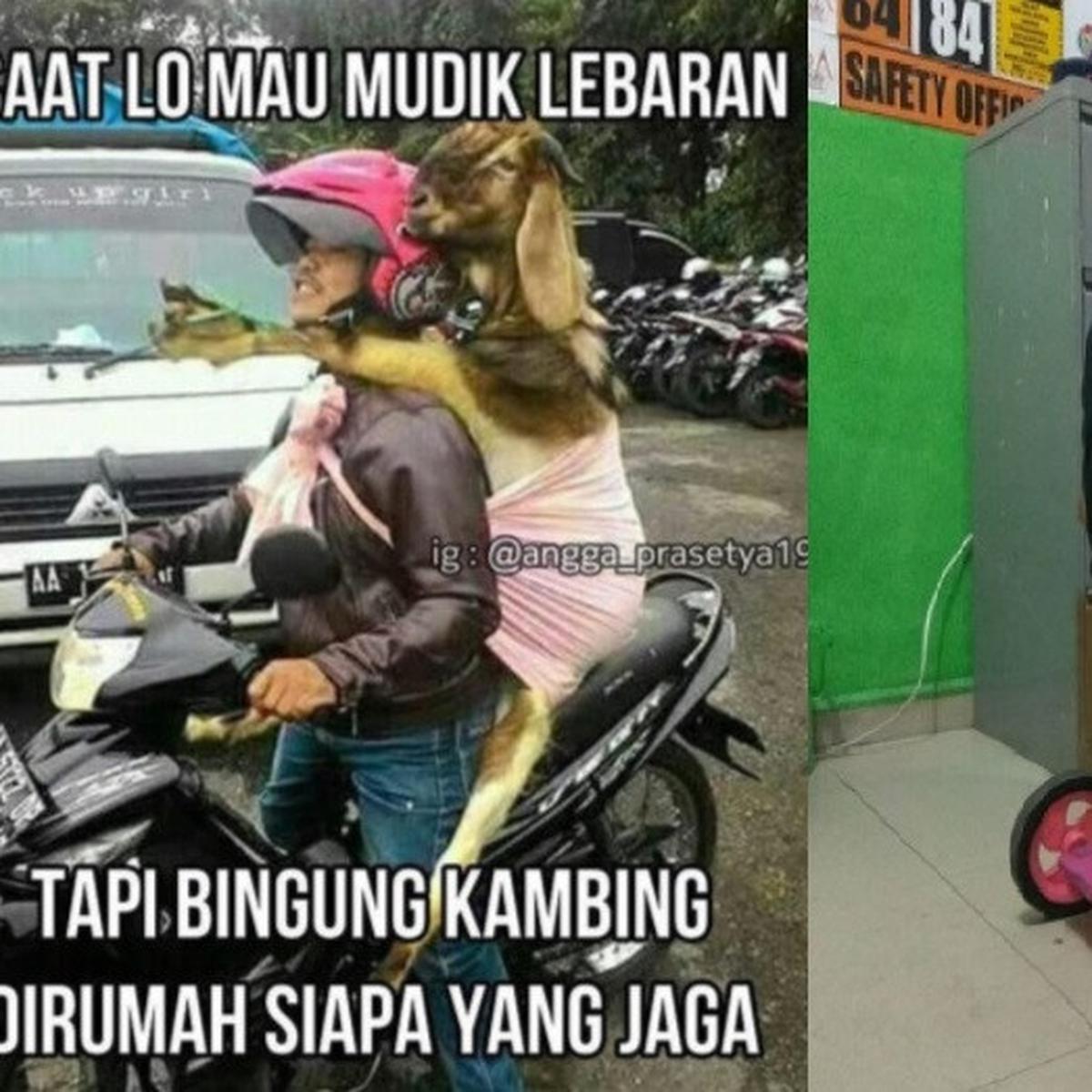 Detail Gambar Lucu Pulang Kampung Nomer 2