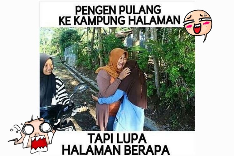 Detail Gambar Lucu Pulang Kampung Nomer 11