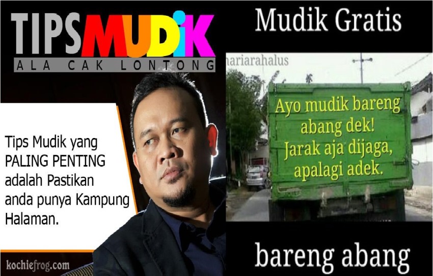 Detail Gambar Lucu Pulang Kampung Nomer 13