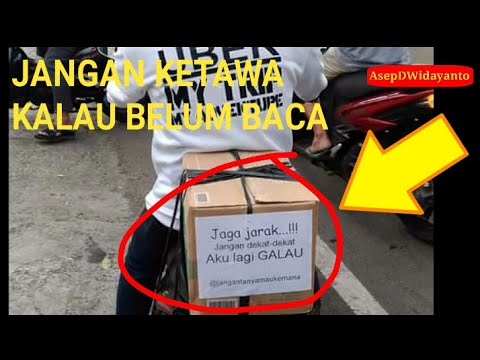 Detail Gambar Lucu Pulang Kampung Nomer 23