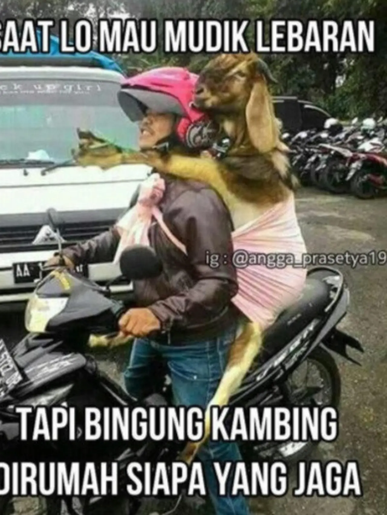 Detail Gambar Lucu Pulang Kampung Nomer 27