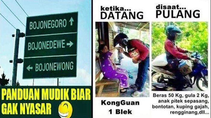 Detail Gambar Lucu Pulang Kampung Nomer 5