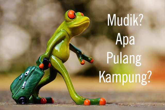 Download Gambar Lucu Pulang Kampung Nomer 8