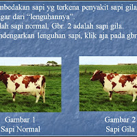 Detail Gambar Lucu Untuk Power Point Nomer 46