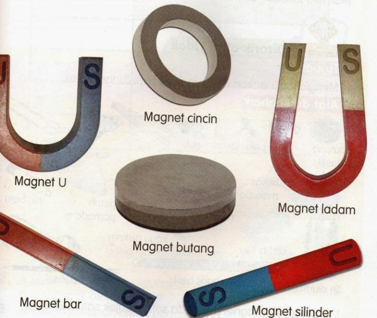 Detail Gambar Macam Macam Bentuk Magnet Nomer 14