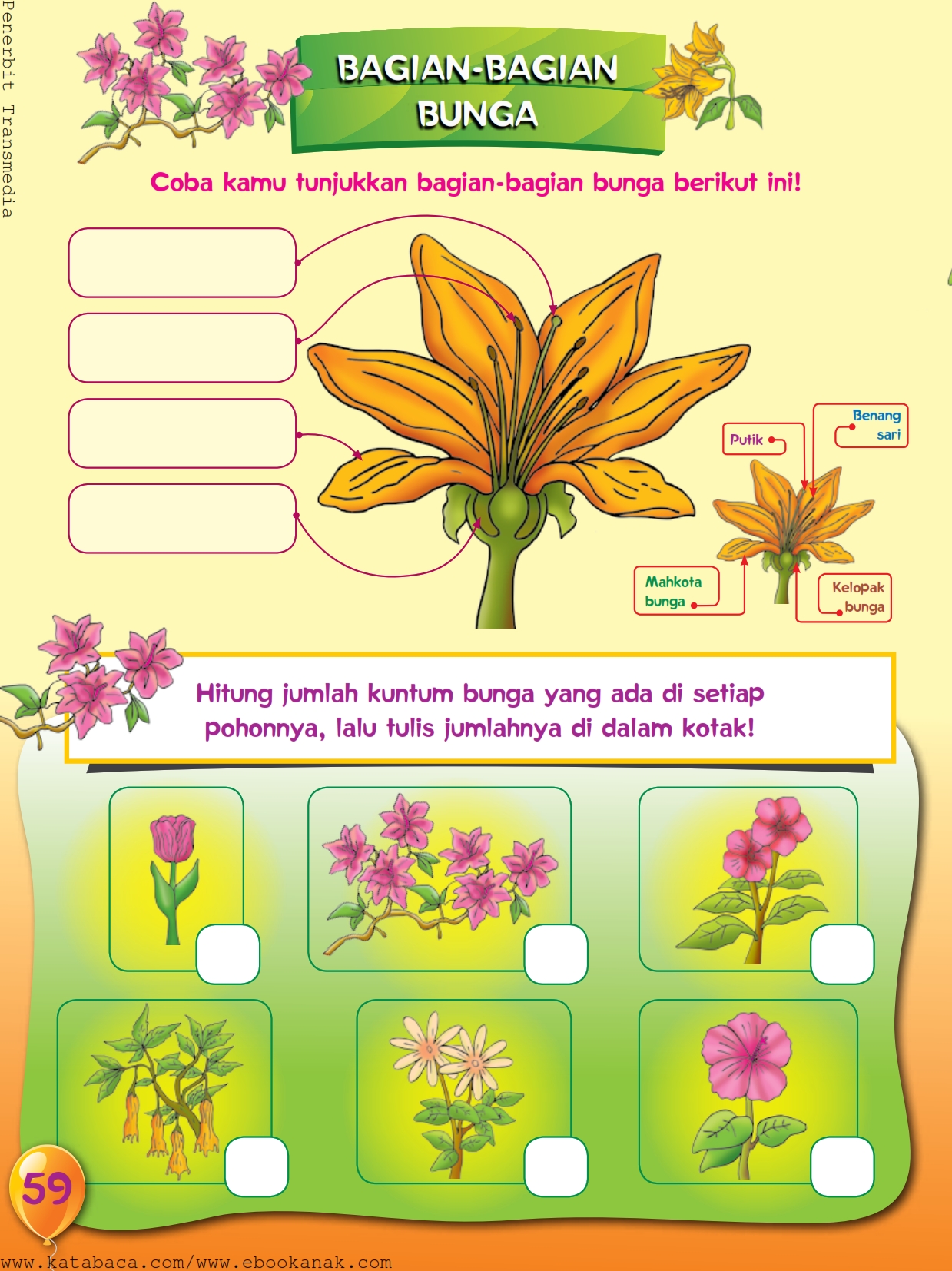 Detail Gambar Macam Macam Bunga Untuk Anak Tk Nomer 11