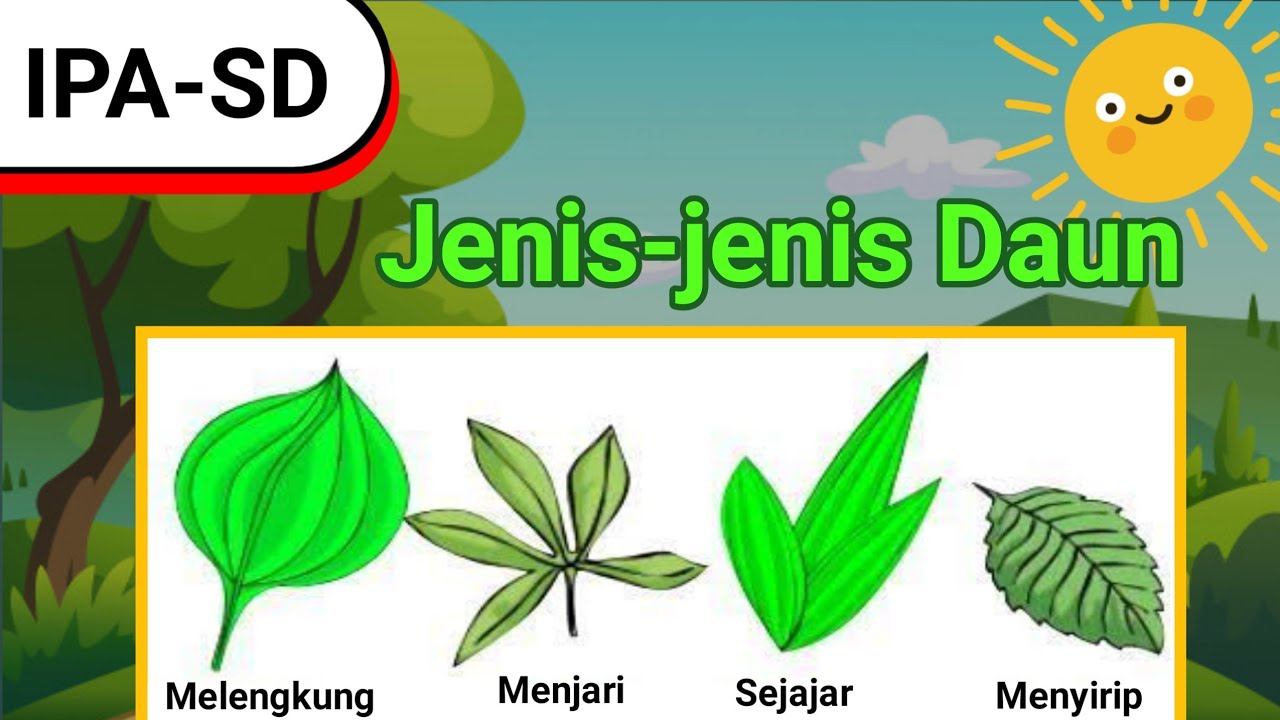 Detail Gambar Macam Macam Daun Nomer 10