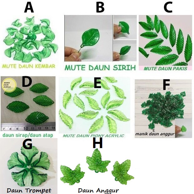 Detail Gambar Macam Macam Daun Nomer 12