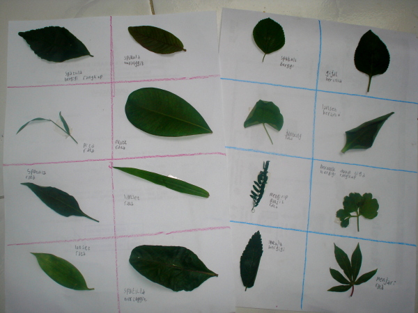 Detail Gambar Macam Macam Daun Nomer 15