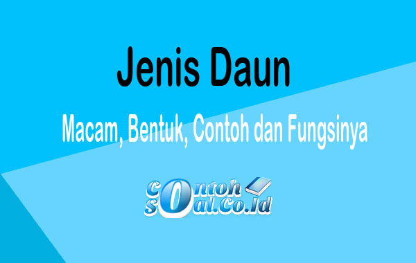 Detail Gambar Macam Macam Daun Nomer 41