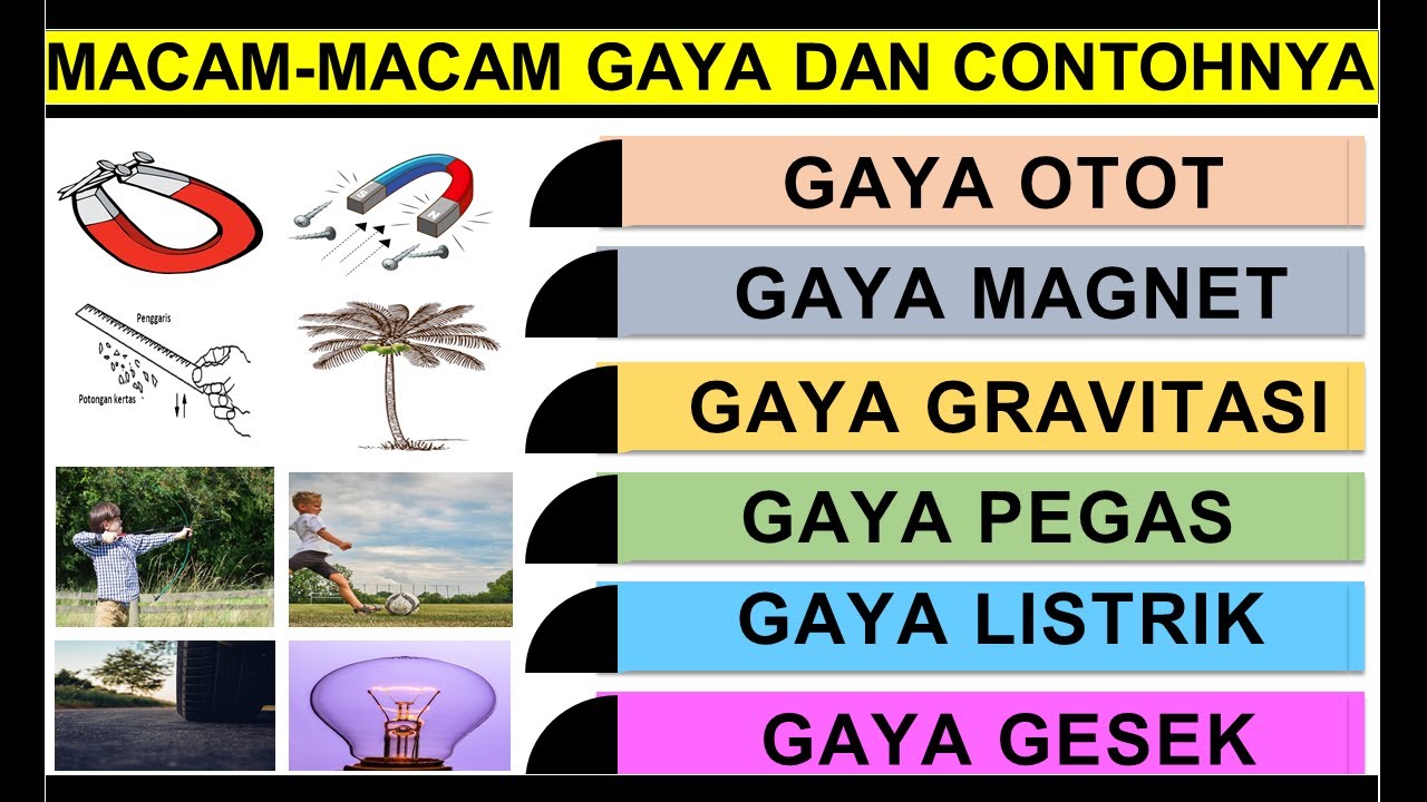 Detail Gambar Macam Macam Gaya Nomer 4