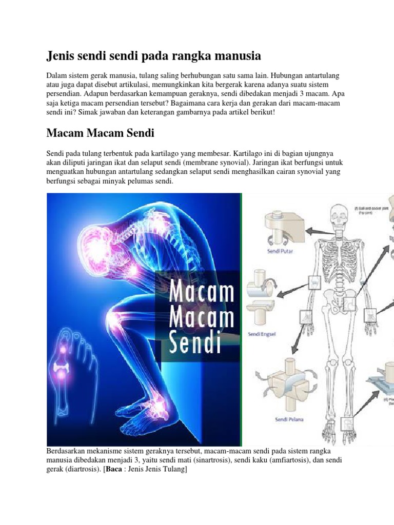 Detail Gambar Macam Macam Sendi Nomer 39