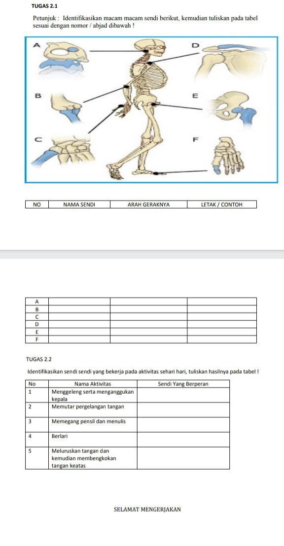 Detail Gambar Macam Macam Sendi Nomer 41