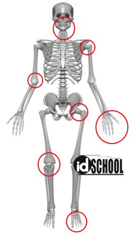 Detail Gambar Macam Macam Sendi Nomer 10