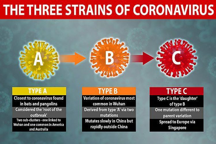 Detail Gambar Macam Macam Virus Dan Fungsinya Nomer 27