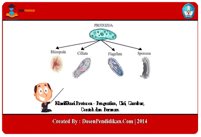 Detail Gambar Macam Protozoa Nomer 20