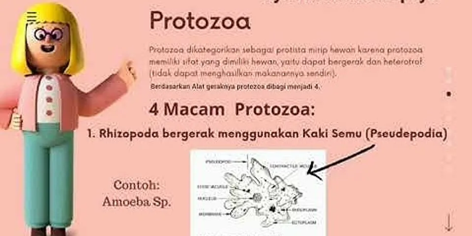 Detail Gambar Macam Protozoa Nomer 54