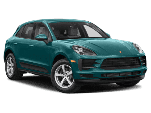 Detail Gambar Macan Di Ms Excel Nomer 15