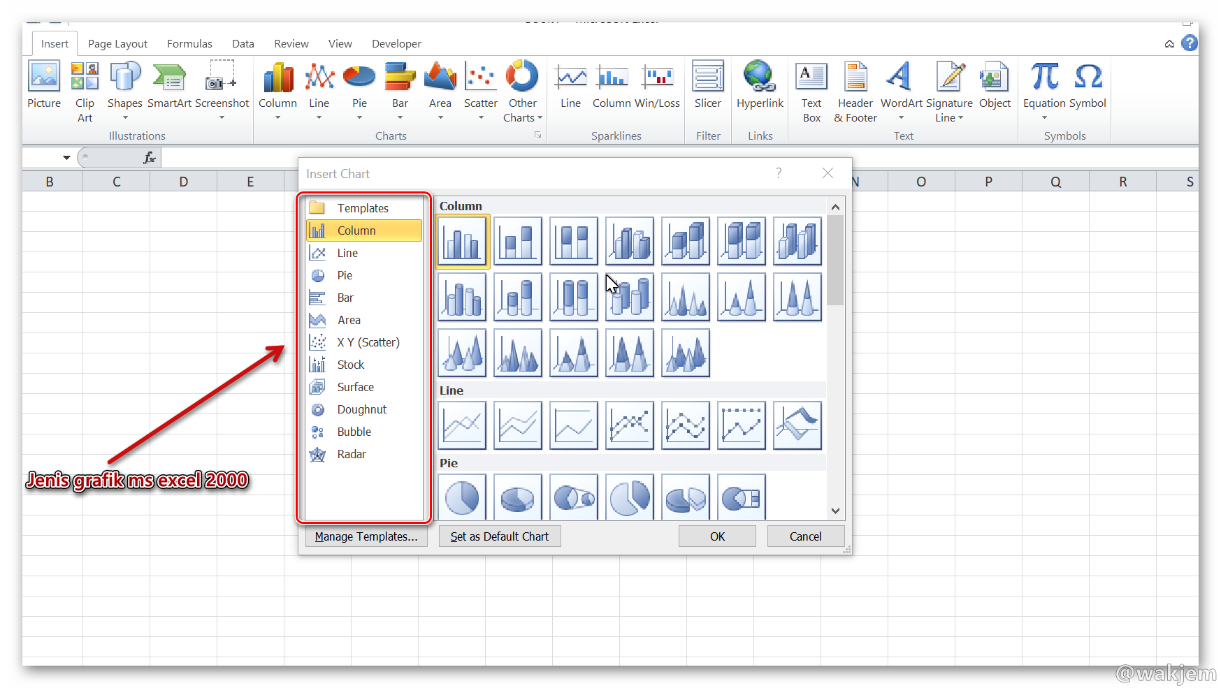 Detail Gambar Macan Di Ms Excel Nomer 43