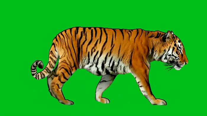 Detail Gambar Macan Di Ms Excel Nomer 47