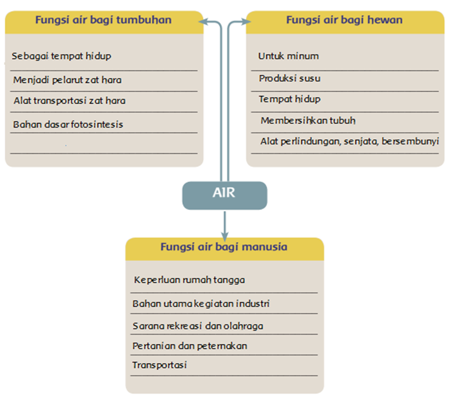 Detail Gambar Manfaat Air Bagi Manusia Nomer 29