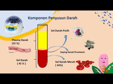 Detail Gambar Manusia Animasi Full Gambar Plasma Darah Nomer 20