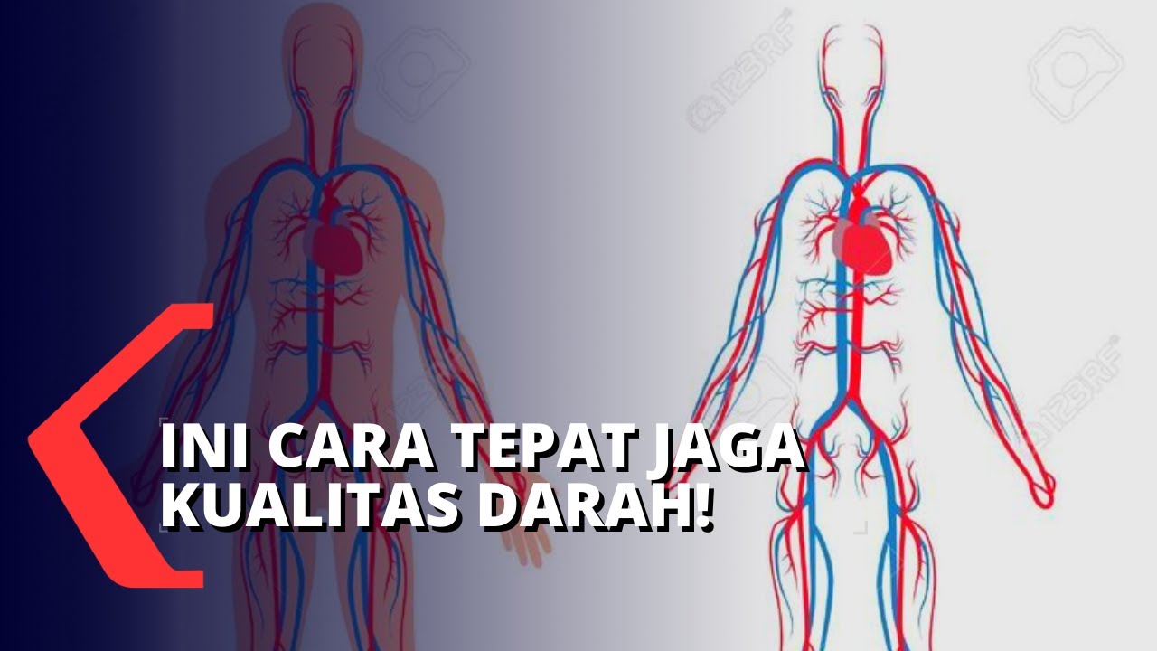 Detail Gambar Manusia Animasi Full Gambar Plasma Darah Nomer 21