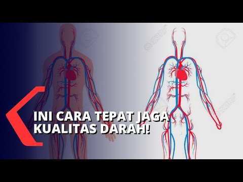 Detail Gambar Manusia Animasi Full Gambar Plasma Darah Nomer 34