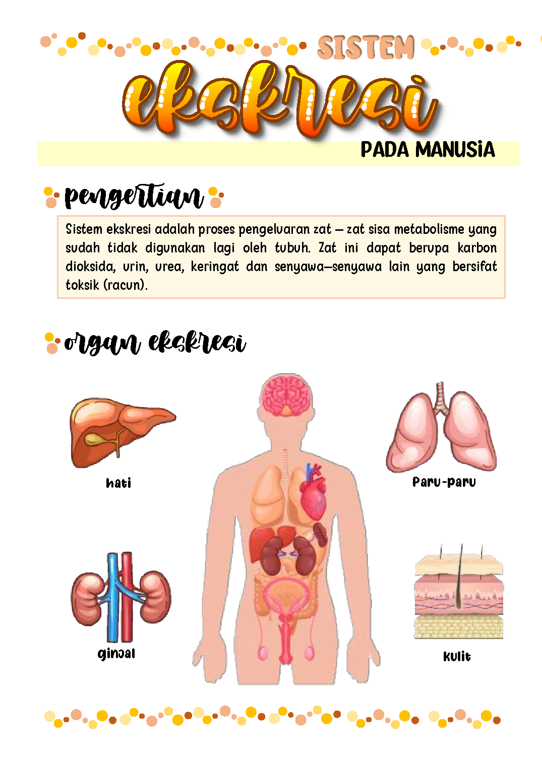 Detail Gambar Manusia Animasi Full Gambar Proses Ekskresi Nomer 6