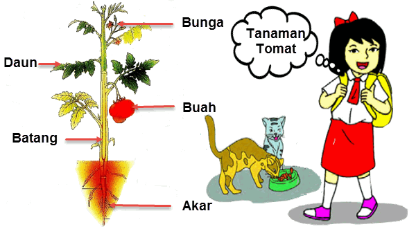 Detail Gambar Manusia Hewan Dan Tumbuhan Nomer 32