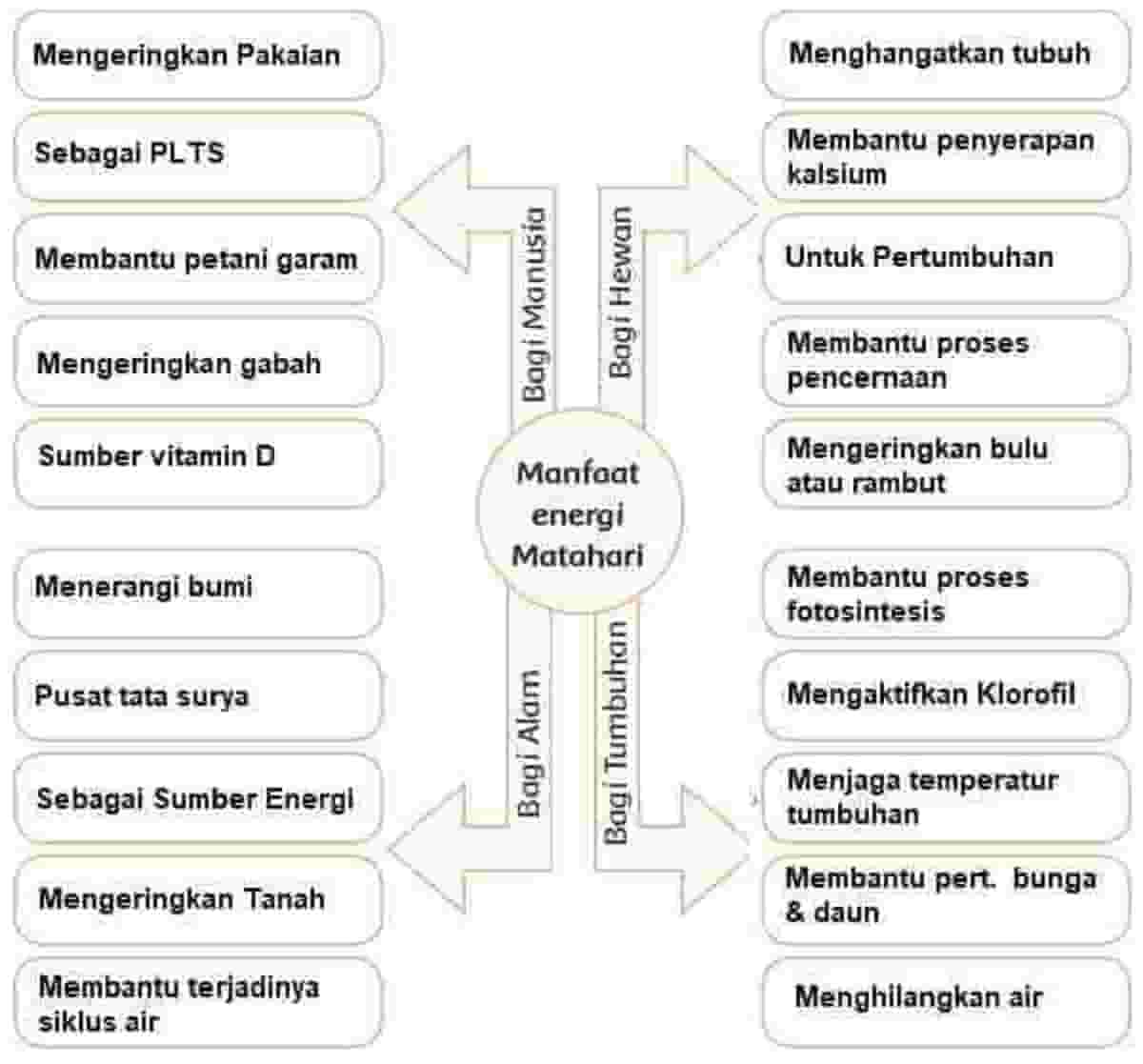 Detail Gambar Manusia Hewan Dan Tumbuhan Nomer 49