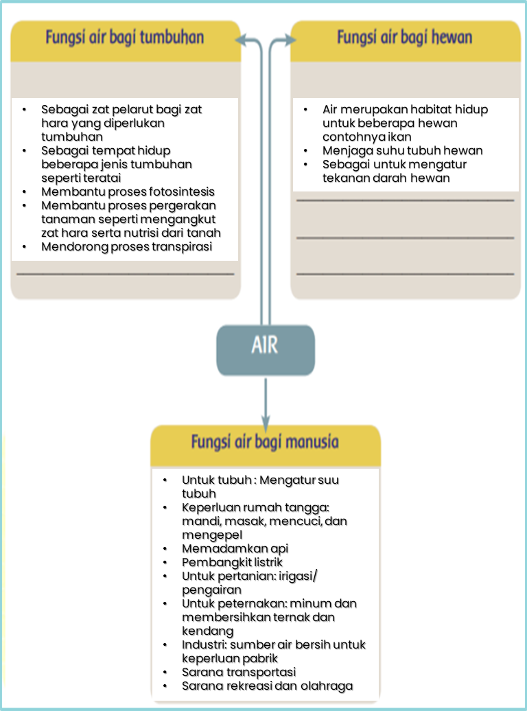 Detail Gambar Manusia Hewan Dan Tumbuhan Nomer 51