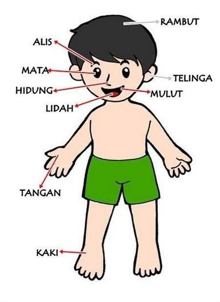 Detail Gambar Manusia Kartun Nomer 17