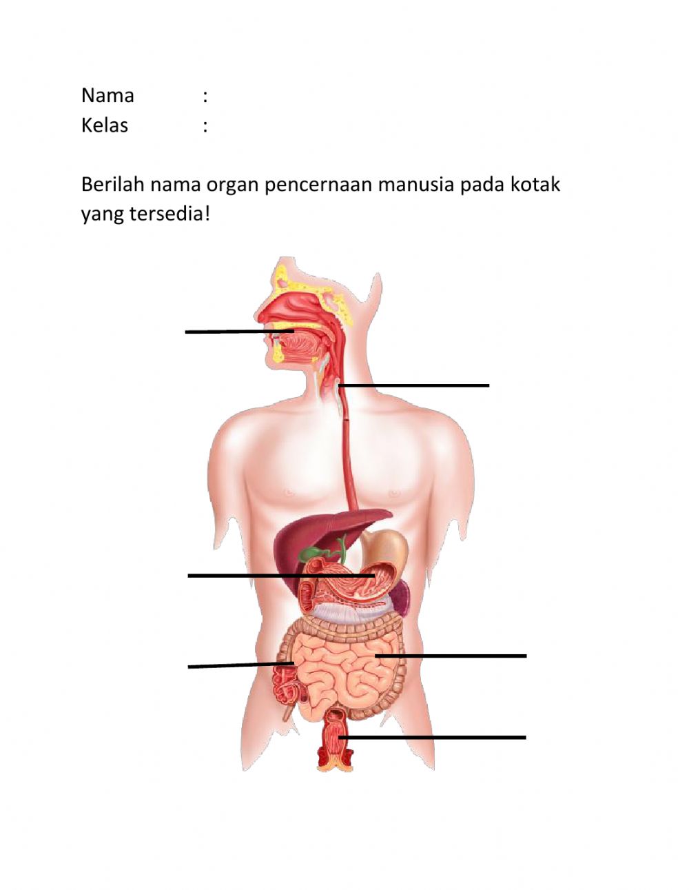 Detail Gambar Manusia Kotak Nomer 22