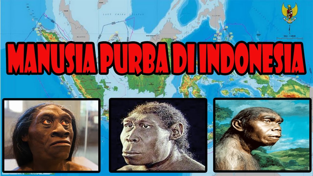 Detail Gambar Manusia Purba Di Indonesia Nomer 43